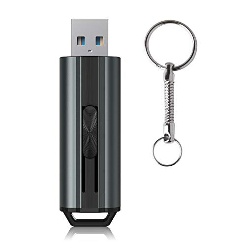 64GB USB 3.1 Flash Drive 380MB/s Thumb Drive with Keychain Plug-Play